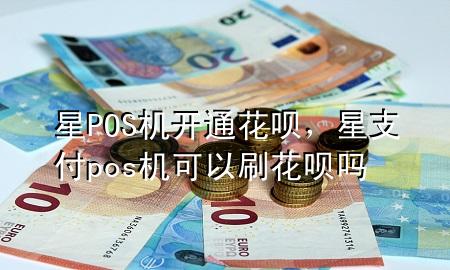 星POS机开通花呗，星支付pos机可以刷花呗吗
