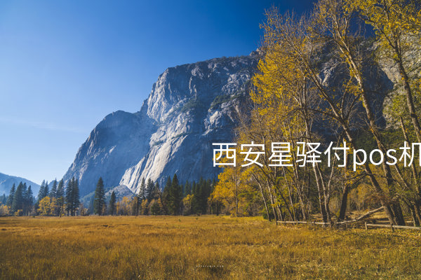 如何选择西安星驿付POS机？让您的业务受益 