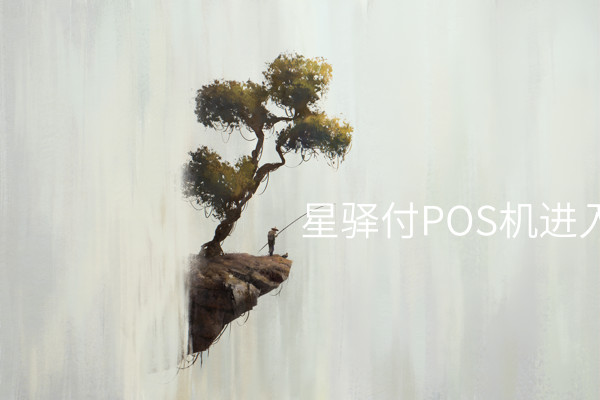 如何设置星驿付POS机，完整指南！