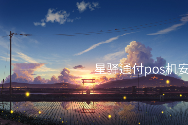 星驿通付Pos机的安全性