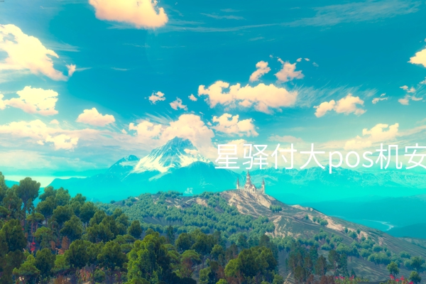 星驿付大pos机的安全性