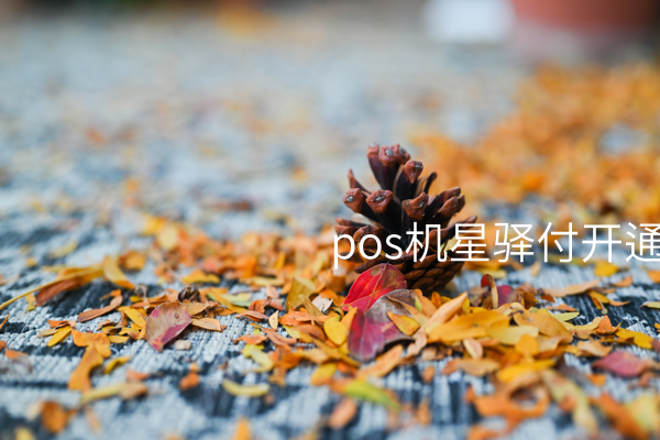 星驿付：满足消费者支付服务需求