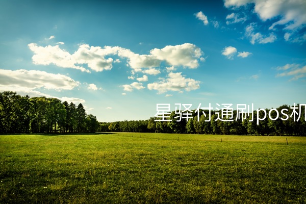 星驿付通刷POS机的安全性