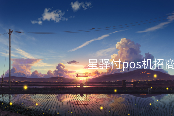 星驿付pos机招商