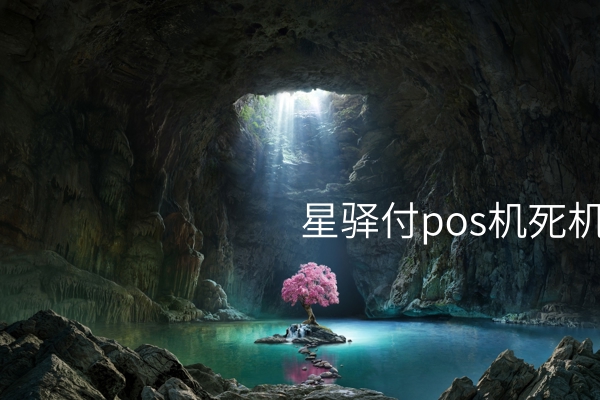 星驿付pos机死机