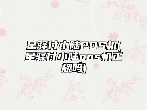 星驿付小陆pos机怎么刷大额 星驿付小陆POS机(星驿付小陆pos机正规吗)